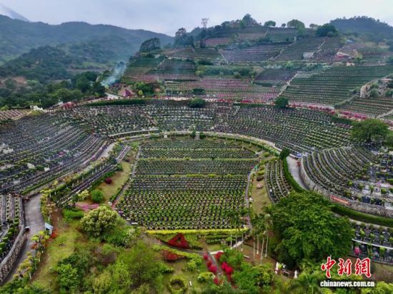 4��3�գ��������ݣ����и��һ��̬��԰�������ٽ�����̬��԰���ɰص��䡢��ľ���ף����������ⰻȻ�Ļ������廳���ˡ����а�˼��(���˻���Ƭ)��������� ������ ��