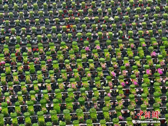 4��3�գ��������ݣ����и��һ��̬��԰�������ٽ�����̬��԰���ɰص��䡢��ľ���ף����������ⰻȻ�Ļ������廳���ˡ����а�˼��(���˻���Ƭ)��������� ������ ��