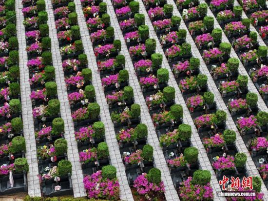 4��3�գ��������ݣ����и��һ��̬��԰�������ٽ�����̬��԰���ɰص��䡢��ľ���ף����������ⰻȻ�Ļ������廳���ˡ����а�˼��(���˻���Ƭ)��������� ������ ��