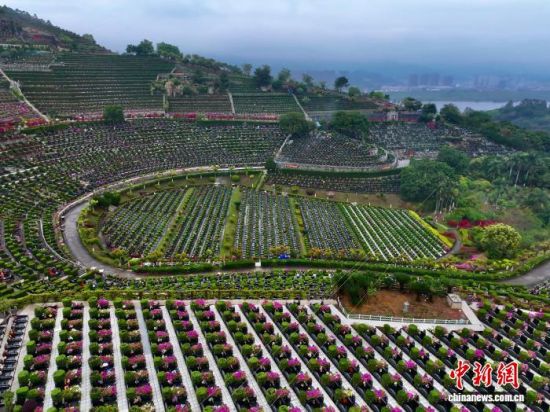 4��3�գ��������ݣ����и��һ��̬��԰�������ٽ�����̬��԰���ɰص��䡢��ľ���ף����������ⰻȻ�Ļ������廳���ˡ����а�˼��(���˻���Ƭ)��������� ������ ��