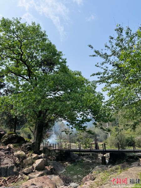 ����������Ȼ����̬������������ý������ ��ͼ