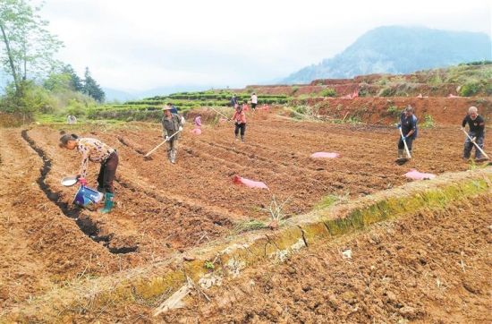 �����ڶ���������и�����ʩ��