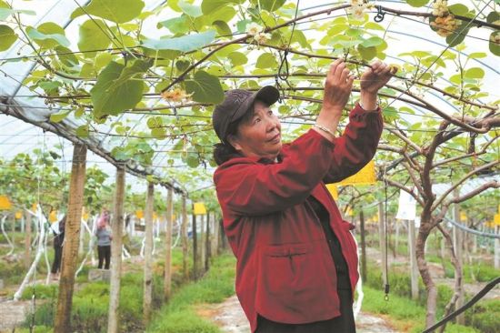 ������⨺��Ҽ���æ����ѿ