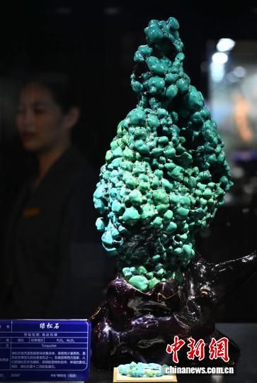 ͼΪ����չʾ������ʯ����������� �ű� ��