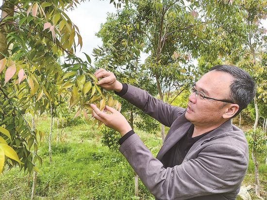 �����������ذ׹������ִ���ҵ��ҵ԰���׹�����Ҷɫ���Ͳ��졣