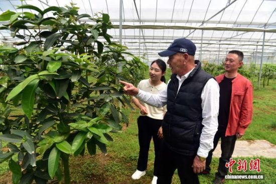 4��15�գ�̨�̳����(��)���ڲ鿴�����硣��������� ������ ��