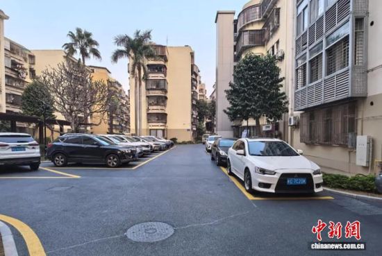 �����ļ�����԰С���������� �������� ��