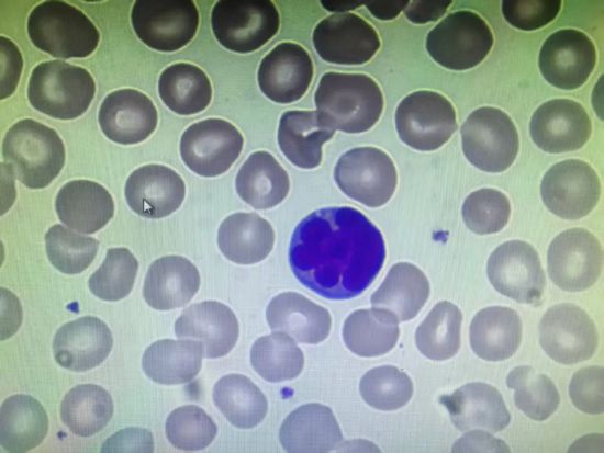 ������ɫ���Ϊ����Tõ�廨��һ��������ϸ��