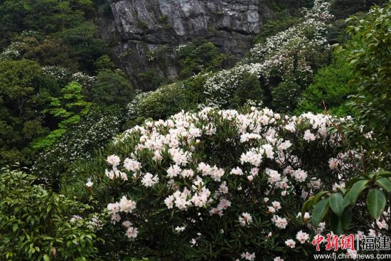 ������ͷ�ž顣������ ��