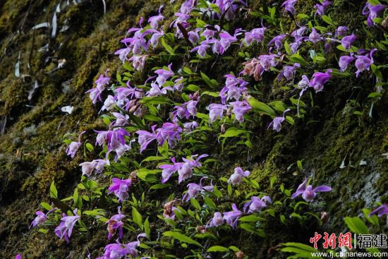 �����±��ϵ�̨��������������� ��