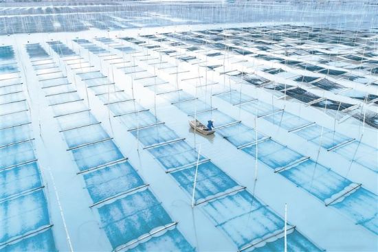 �ϲ˲��ա������� ��