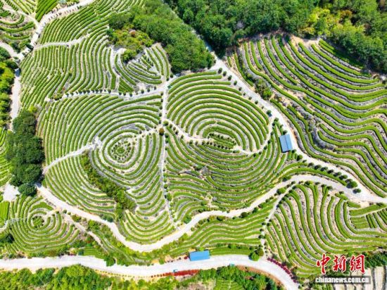 �������´��԰(����ͼ)����־�� ��