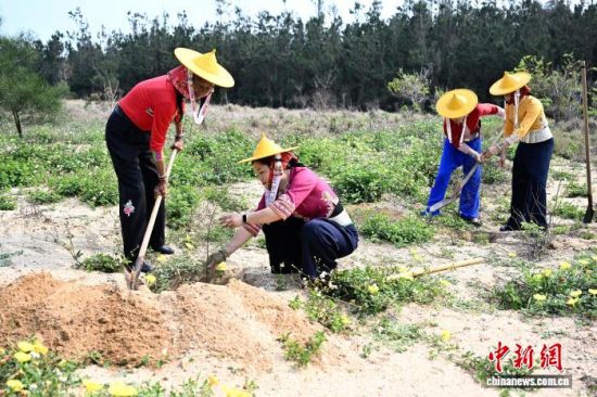 4��14�գ�λ�ڸ���ʡ�ݰ��ض�����С���ֳ���С���ֳ���������Ӣ(��һ)���Ż���Ա��һ��ֲ������������������ �ű� ��