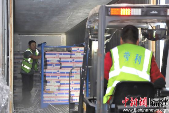 ������������æ��װж���