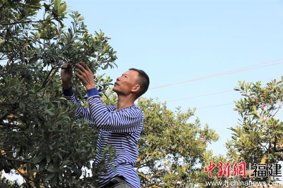 ��÷��ũ���ڽ��������ҵ���ֽ���