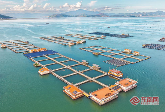 ���½��Ǻ�����ֳ���� �����ձ����� ���� ��