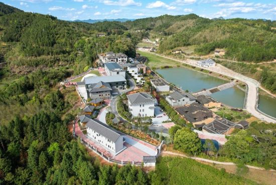 宁德市新联会开展“探访鹤塘佳垅乡村之美”主题活动