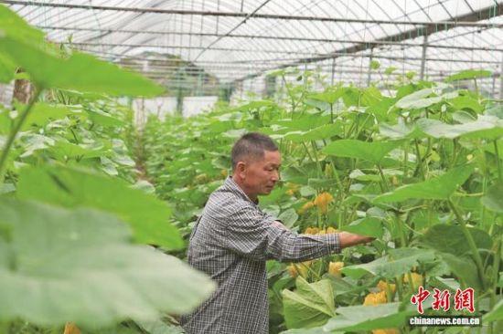 ͼΪ�������쿴�����Ϲϳ��ơ���������