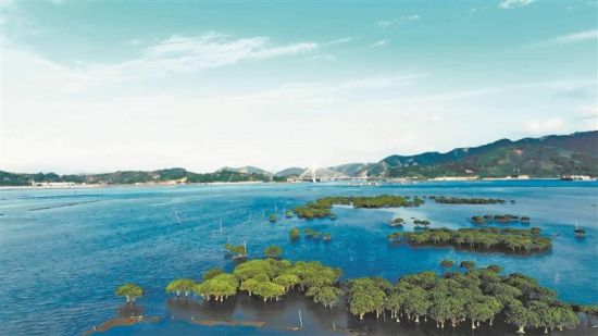 八尺门内湾从“生态痛点”变身“滨海画廊”