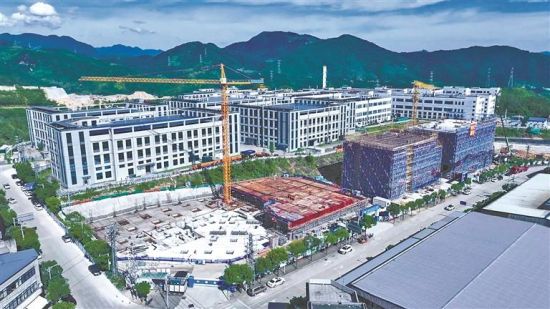 福安：服务不缺位 发展更安心
