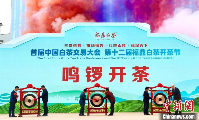 首届中国白茶交易大会在“中国白茶之乡”福建福鼎举办