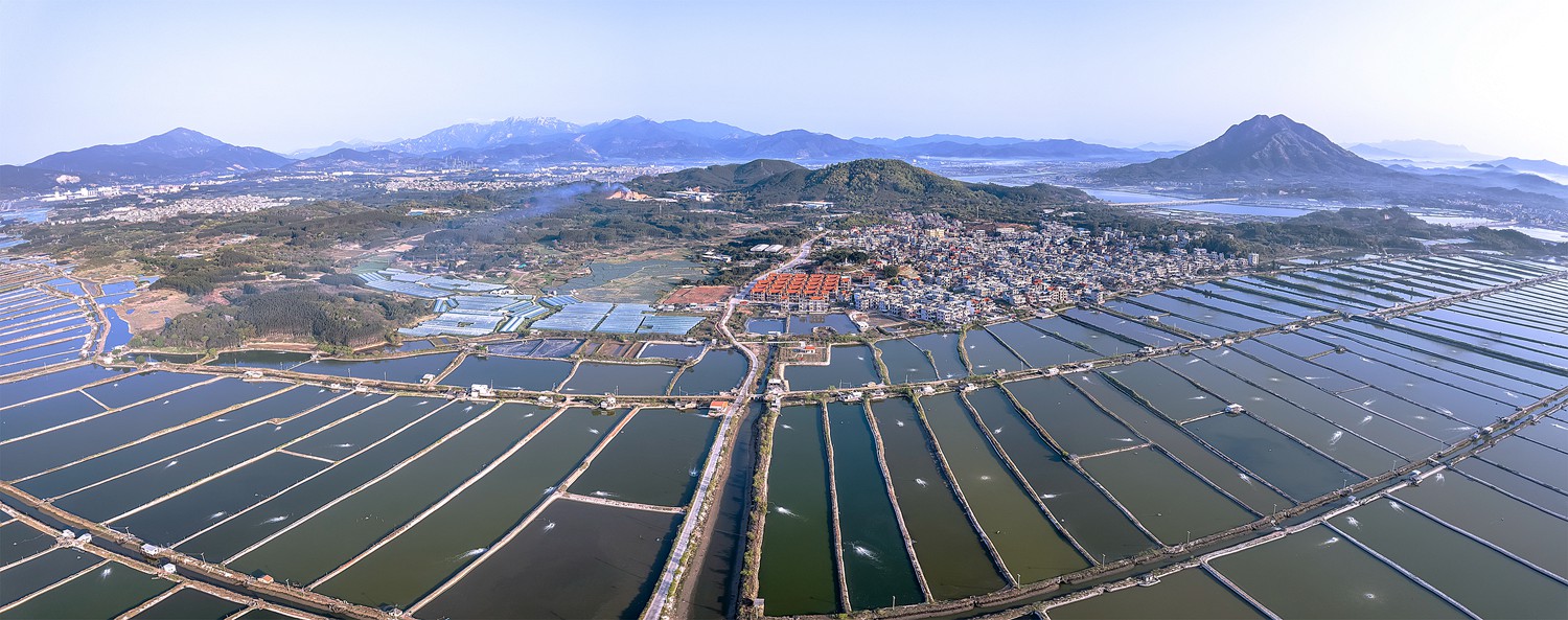 ���й���̬ĵ��֮�硱گ��