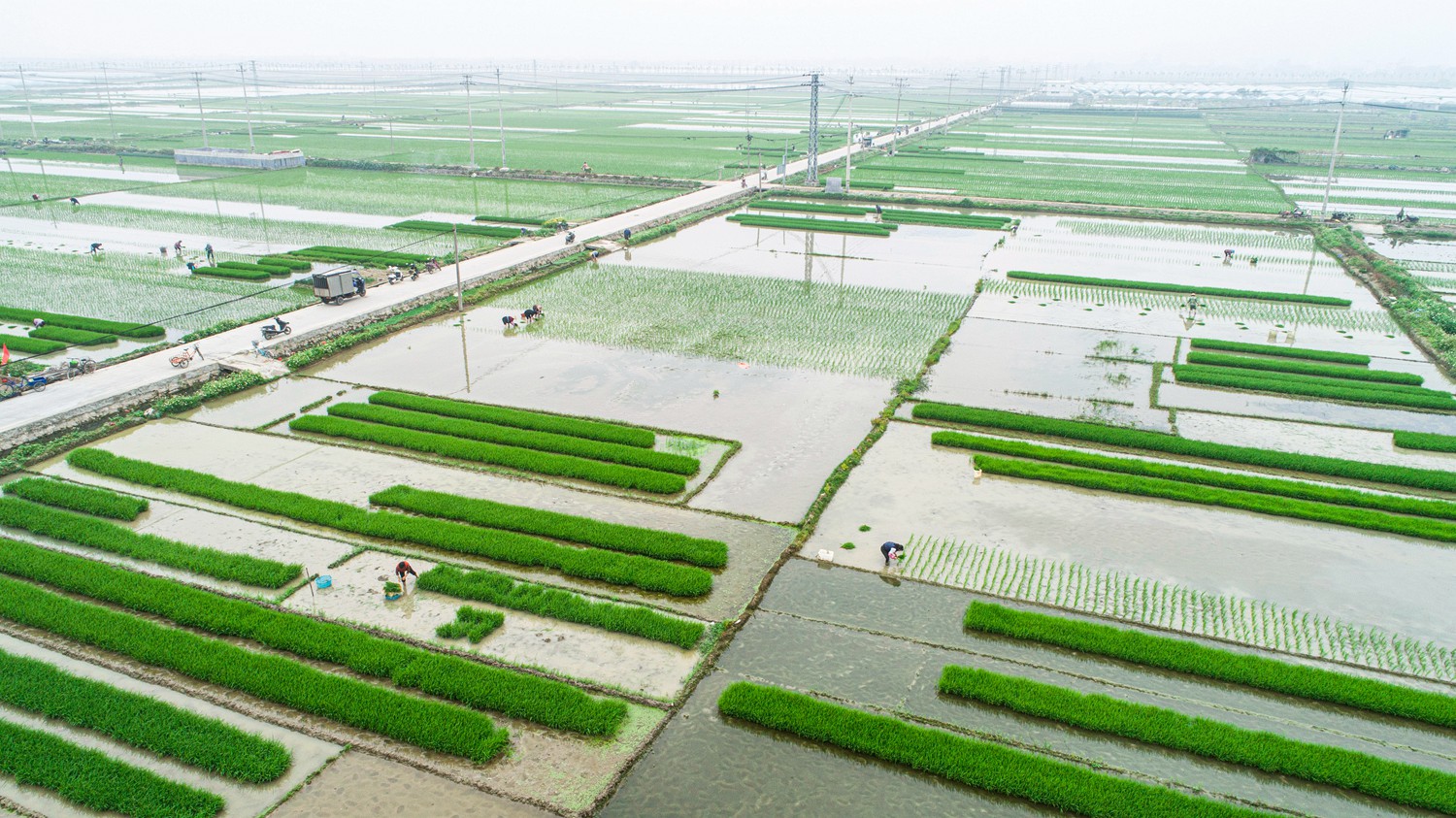 ���й���Ͽ������گ��