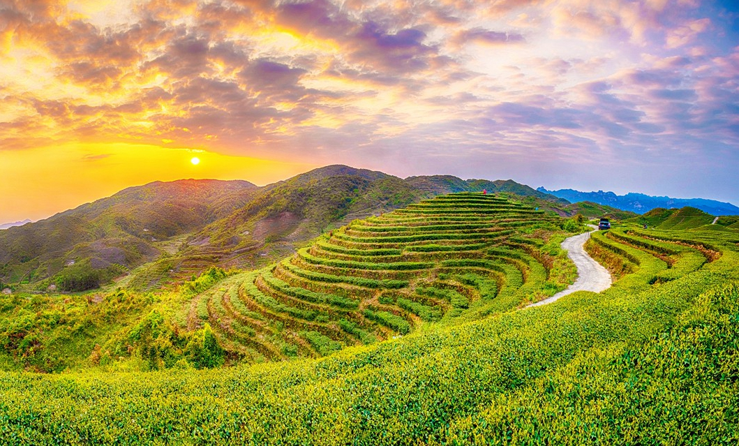 ����گ������������ �ƶ����¾��ò�ҵ������չ