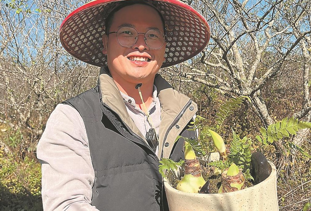 ���Ҹ�������ӳ���