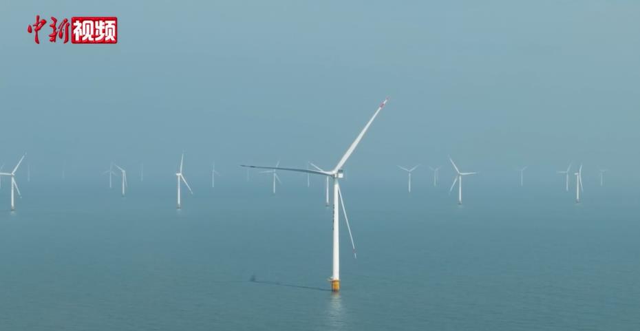 �й��밶������Զ���Ϸ����Ŀȫ������������