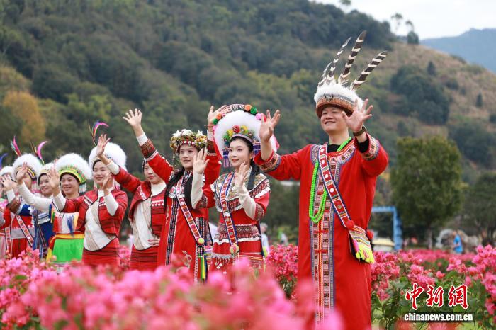 2025���ݡ�������¥��������ɼ��鿪��