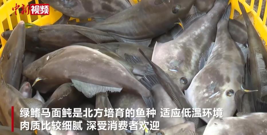 ���������������������������óɹ�