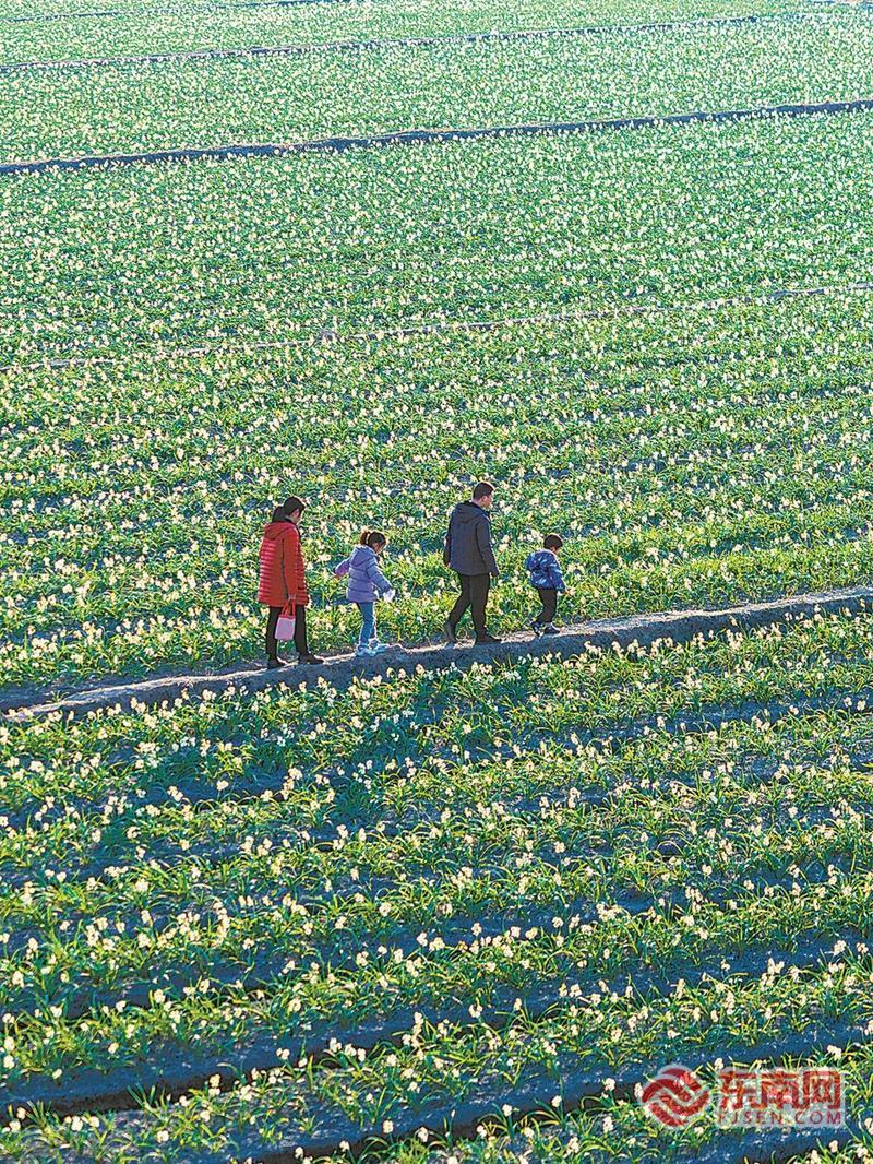 ���ݣ�ˮ�ɻ���Ƭʢ�� ��԰�ҷ�������