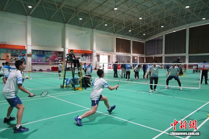 2026�׽캼̨��������ë�������ڸ����Ϻ�����