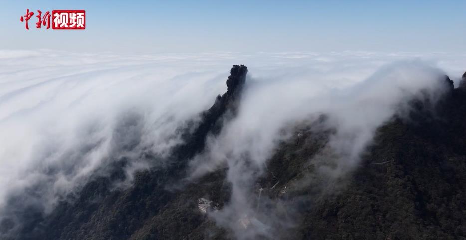 ������ɽ�����̽��������ƺ���������Ȼʢ��