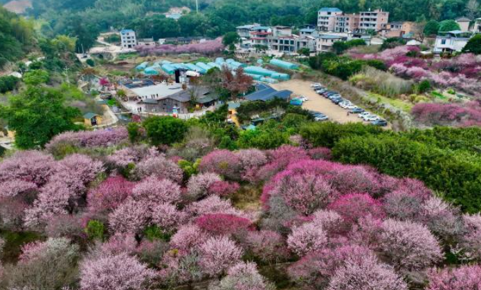 �������÷��֦ͷ �����˼�