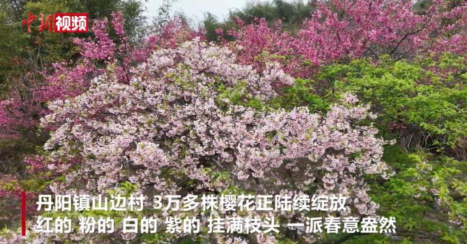 ��������Ũ��ӣ���εڿ� �ο���ӣæ