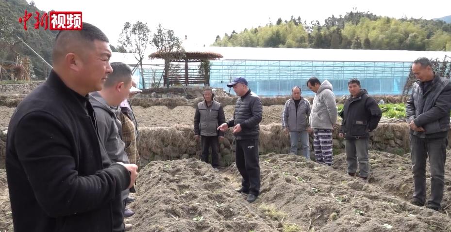 �������١�С���+N���������á��ҳ���������������