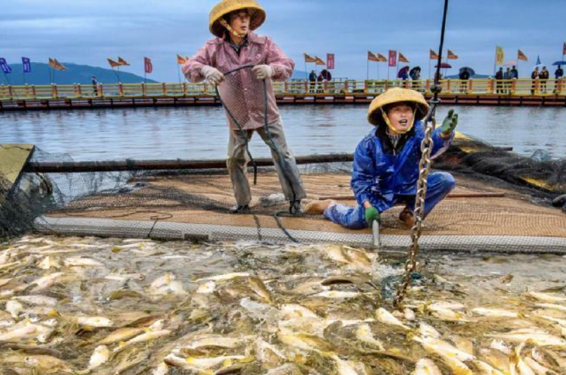 ����Cλ������ζ����㡰���ϡ�����