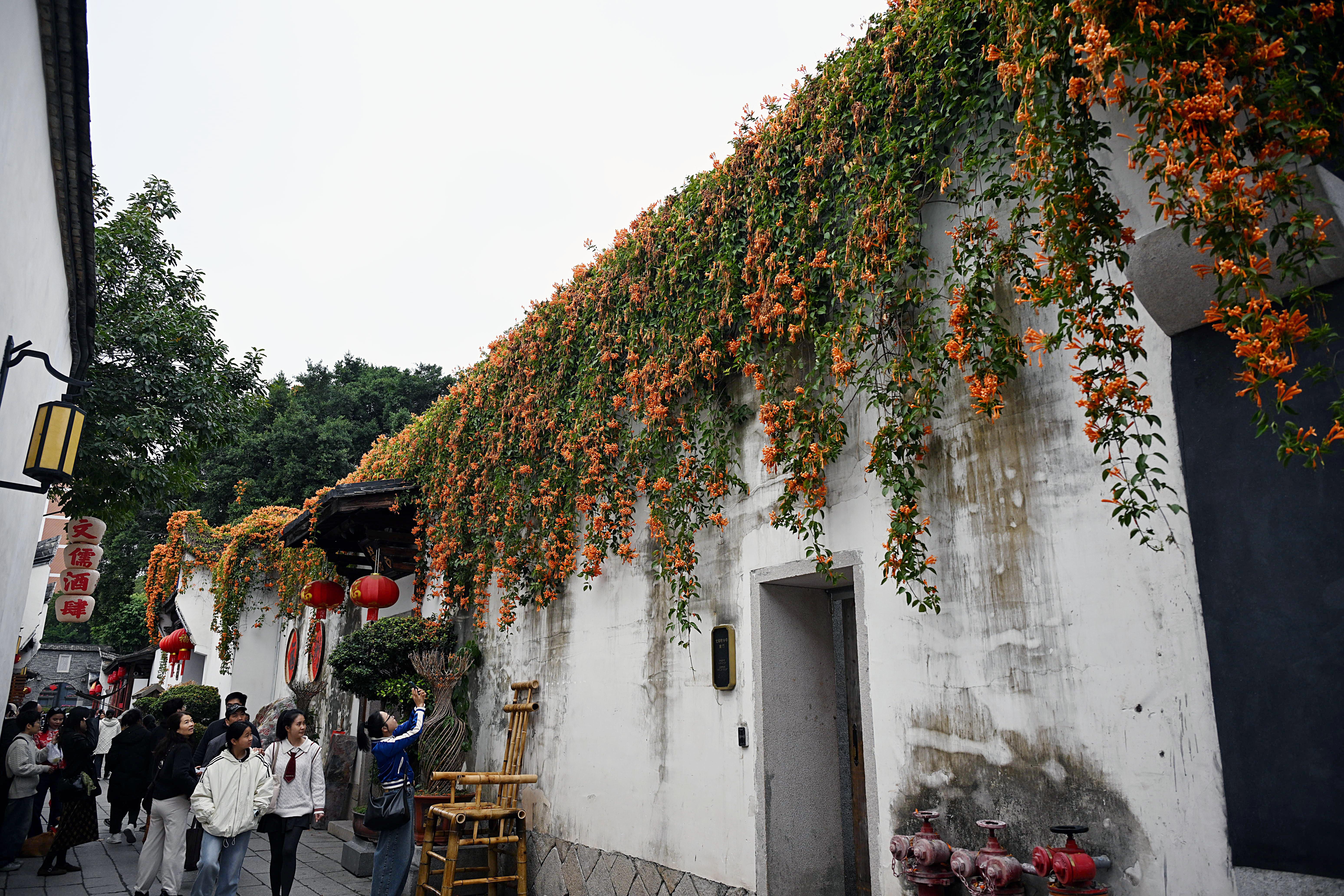 ���ݣ����ȴ������¡�