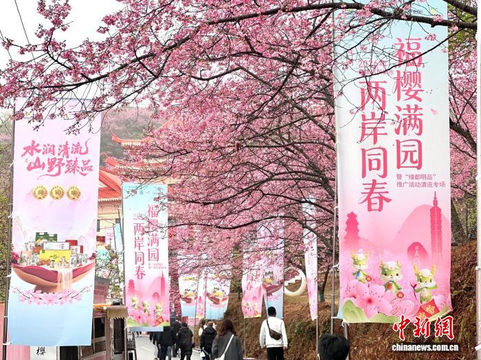 2026��Ͽ������������ӣ���Ļ���������������ƪ��