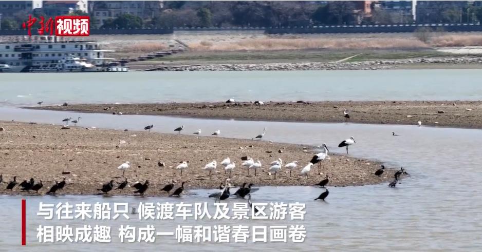 ۶�����ϴ���ů���������� ��������