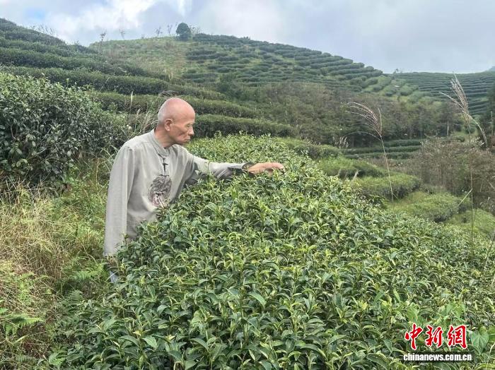 ��Ѯ̨����������Ե������Ҳ����