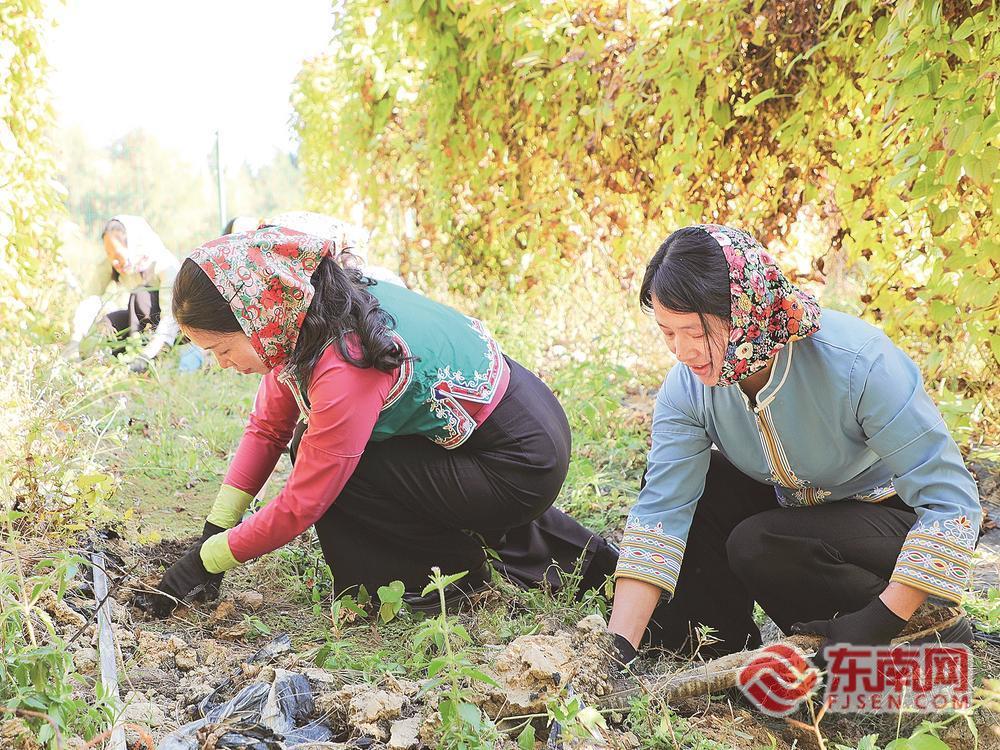 ������⣬��ͷ������̨�塰���ǡ�