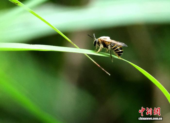 �����챦��Ұ������塰�䡱������