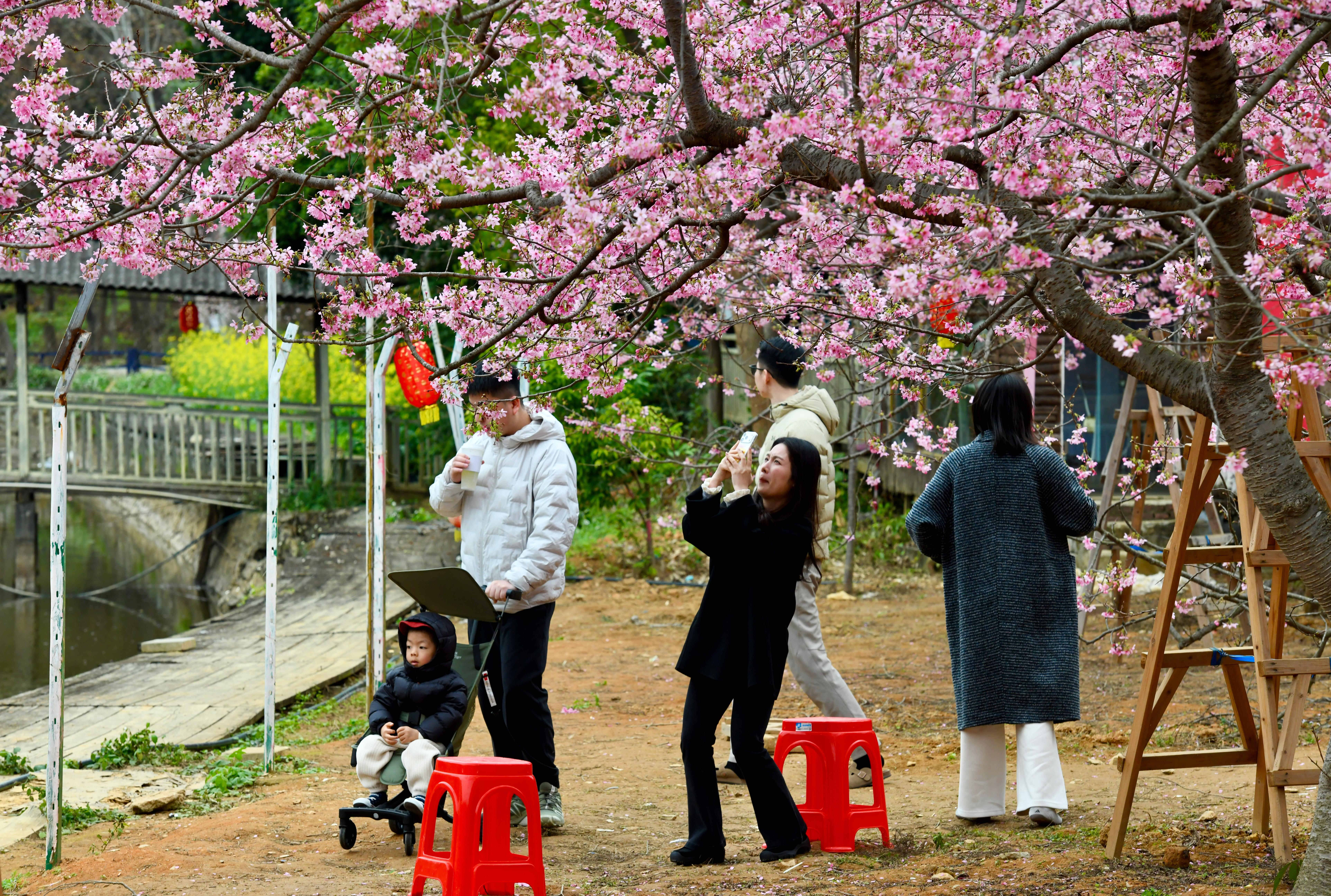 �������ݣ�ӣ������ӭ����