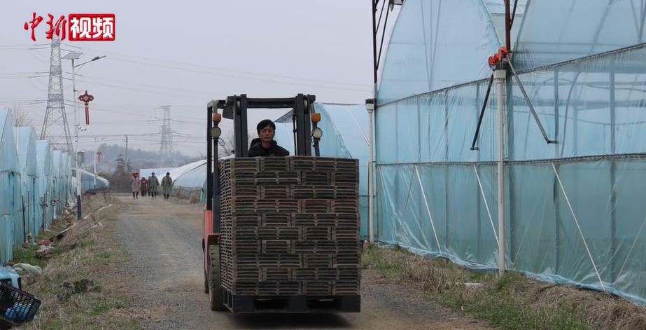 ۶�������´�����æ������Ķ�絾��������