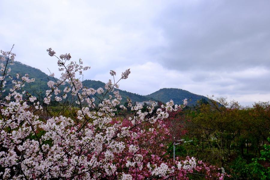 56��ӣ����Ʒ�֣���̨��ӣΪý���Ƽ����Ž�˶������ֲ����̽�ø���ӣ����ҵũ��