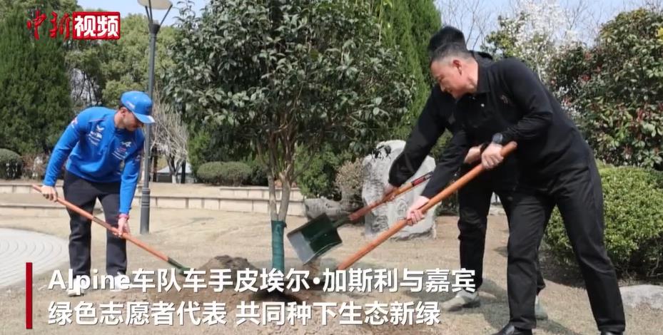 F1�й�����ǰ��������ֲ������������̨���˶�