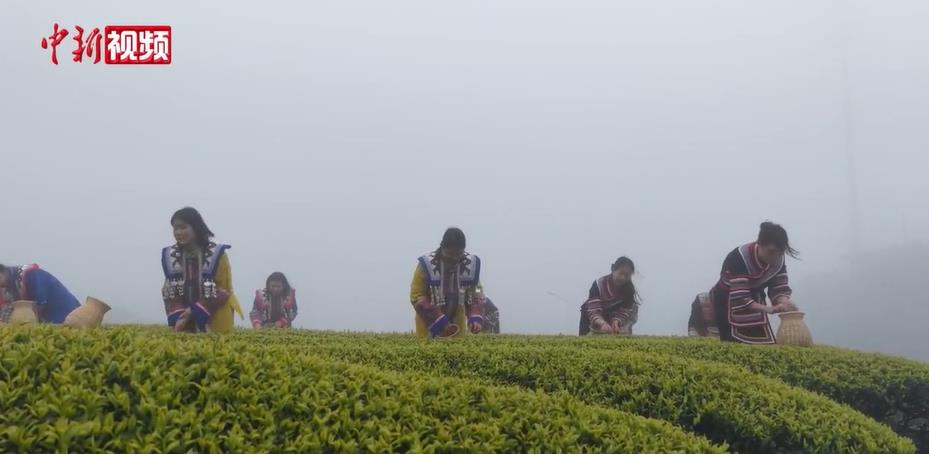 �������������Ķ��ɽ�����迪�� �����ں����ο�